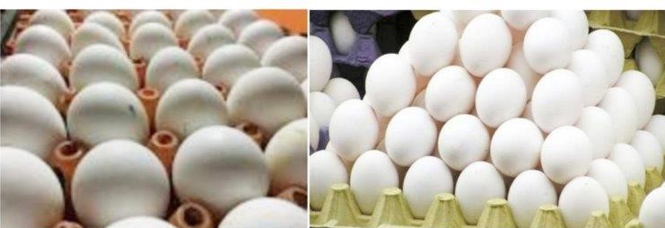 egg-prices-skyrocketed