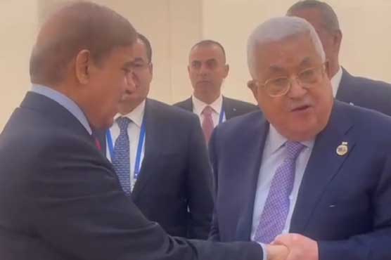 shehbaz and palestine president