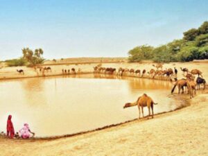 Cholistan image