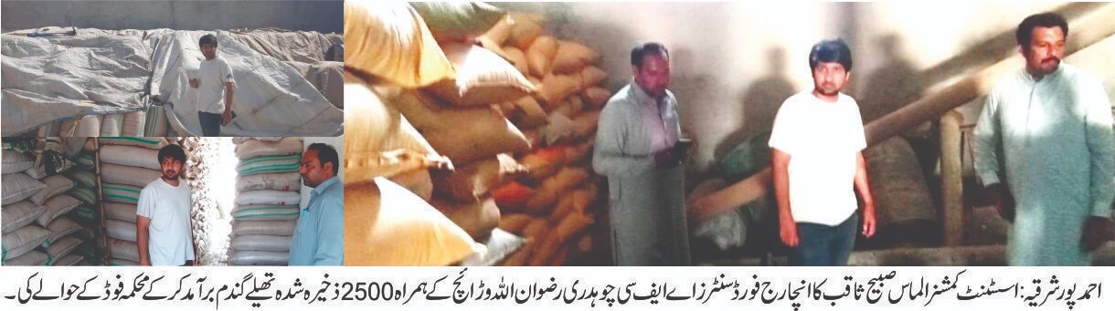 Assistant Commissioner handed over 2500 stored wheat bags to Food Department