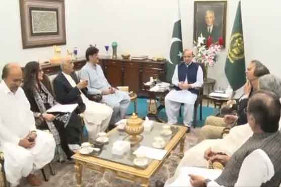 PPP delegation meets PM Shehbaz