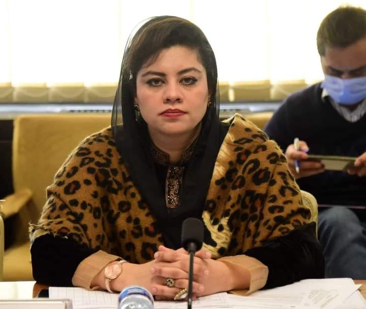 My three proposers and seconders picked by police,says Kanwal Shozab