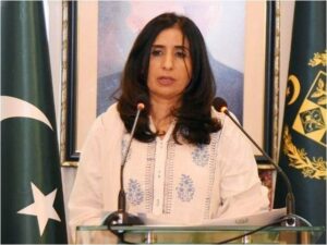 Pakistan deeply disappointed by US veto on Palestine's full UN membership