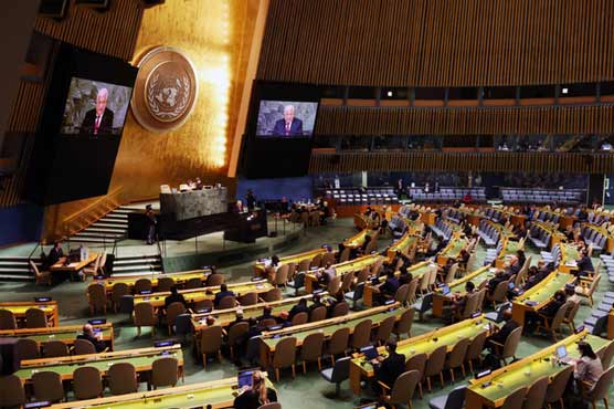 UN General Assembly backs UAE resolution for Palestinian membership