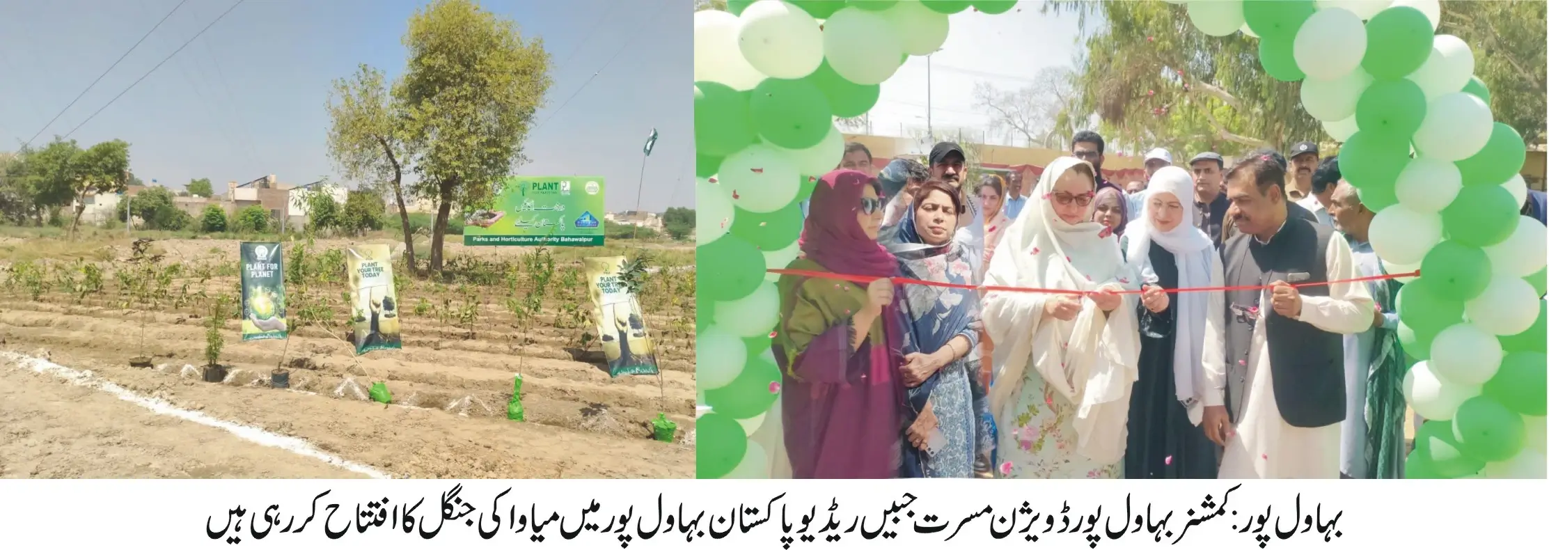 Commissioner Bahawalpur Division Mussarat Jabeen