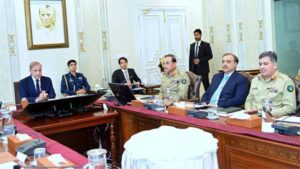 PM Shehbaz chairs meeting for overseas Pakistanis