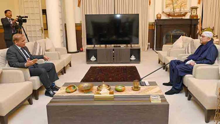 PM Shehbaz meets President Zardari