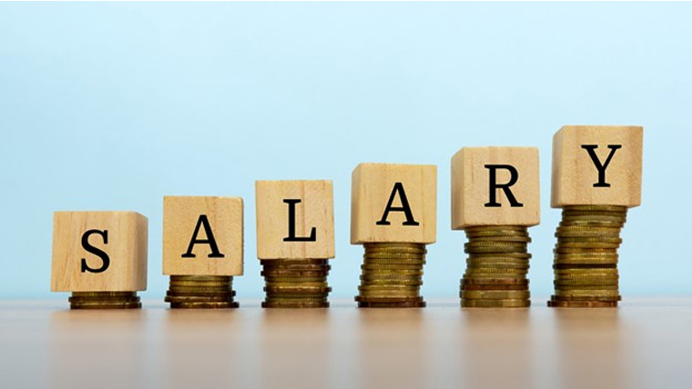 Government employees salaries