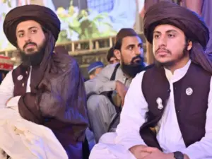 Tehreek-e-Labaik Rizvi Brothers