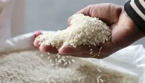 Pakistan Becomes World’s Third Largest Rice Exporting Country