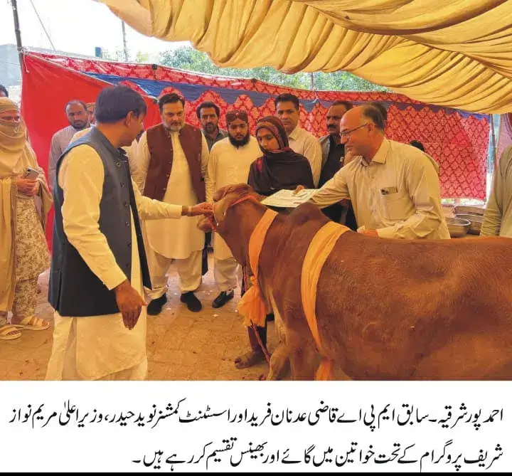 Maryam Nawaz Sharif begins distribution of animals among widowed women