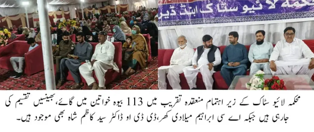 Punjab Government Distributes Cows, Buffaloes to 113 Widowed and Divorced Women in Liaquatpur