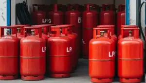 "New Fiscal Year Brings Relief as Government Slashes LPG Price by Rs. 67"