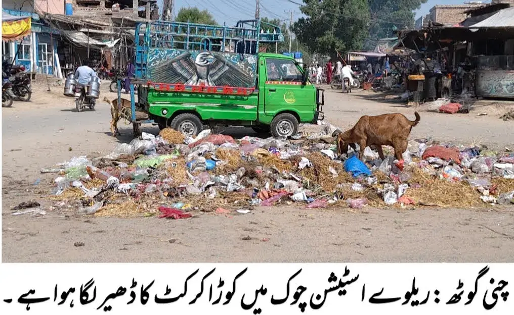 Sanitation work by Suthra Punjab Agency halted in Chani Goth; piles of garbage in various areas